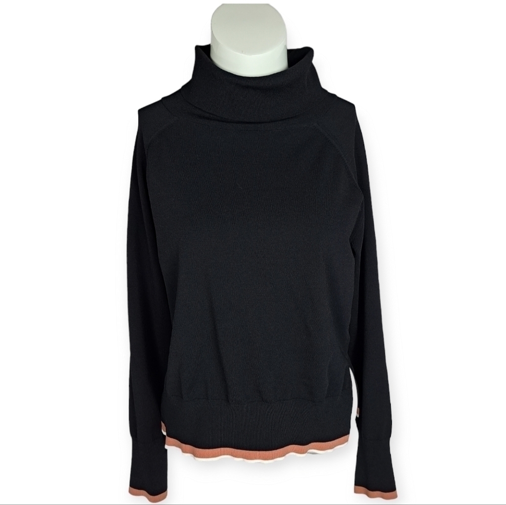ARITZIA Wilfred Free Turtleneck Sweater